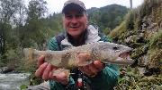 Samll stream Marble trout, Slovenia fly fishing